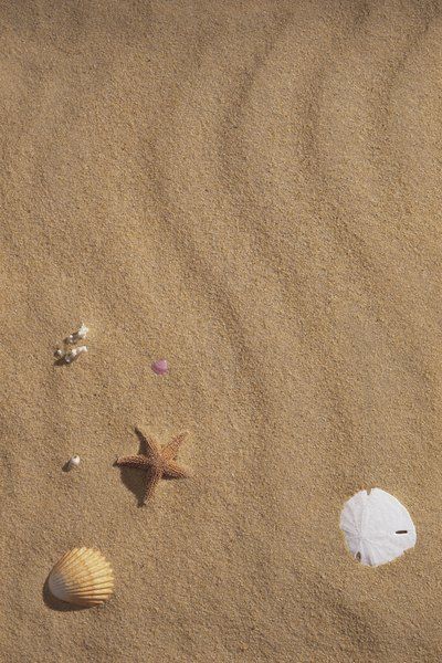 Mindfulness